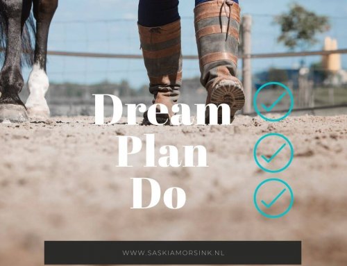 droom, plan, doe…. je eerste stappen